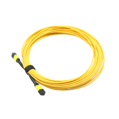 12F MTP-MTP Pre terminated Fiber Trunk Cable Lượng mất tích chèn thấp và Lượng mất mát trả lại cao